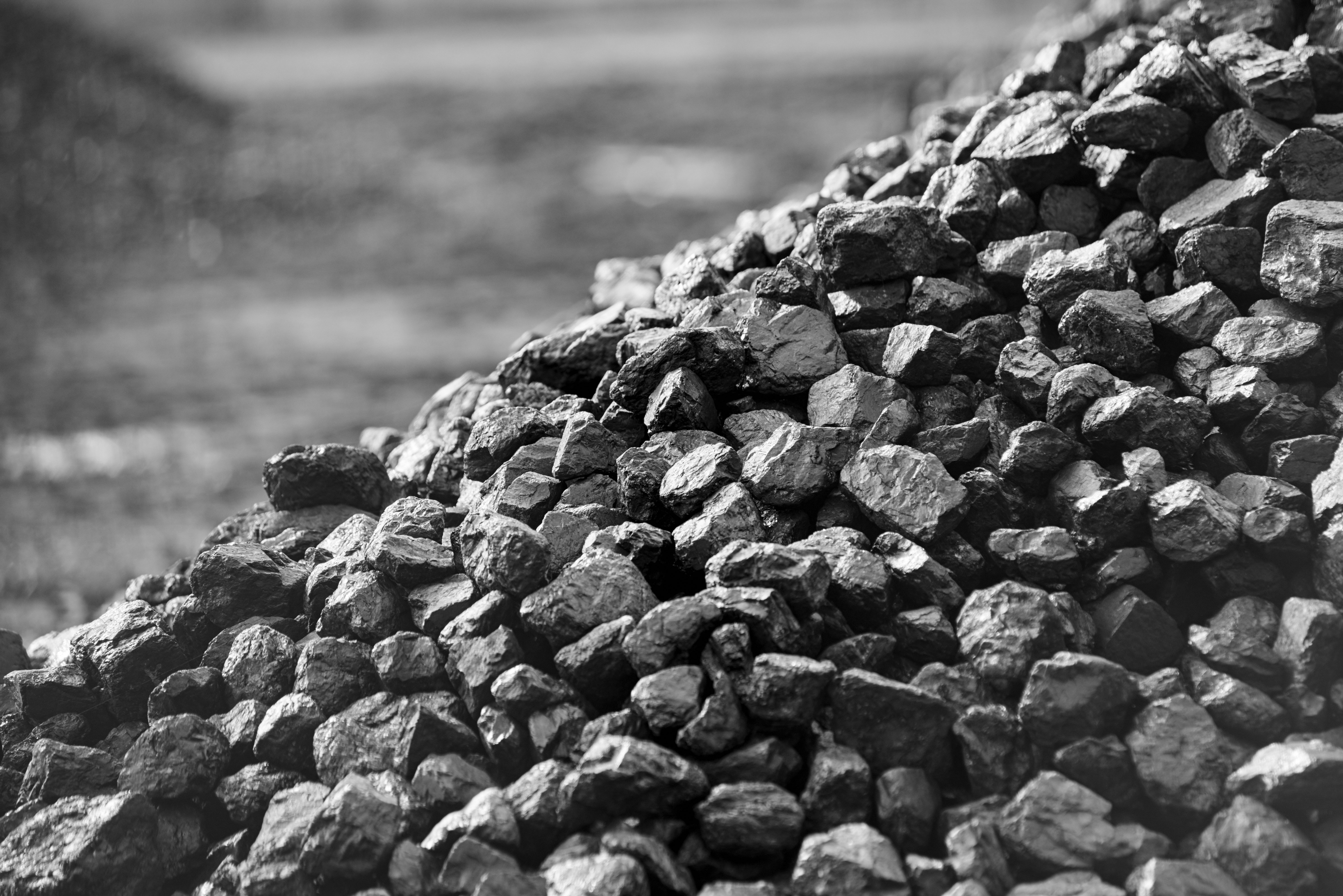 Coal